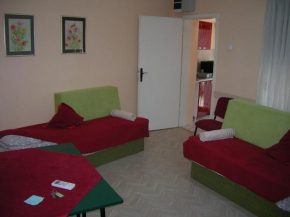 Cozy apartment in the center of Novi Sad!